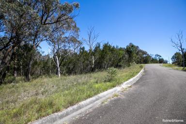 Residential Block For Sale - NSW - Tallong - 2579 - Build your dream home!  (Image 2)
