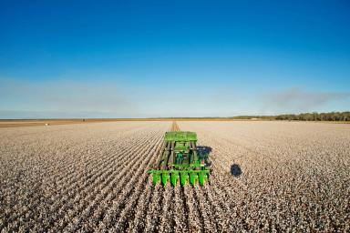 Cropping Sold - NSW - Whitton - 2705 - INSTITUTIONAL SCALE IRRIGATED CROPPING + 14,112ML*  (Image 2)