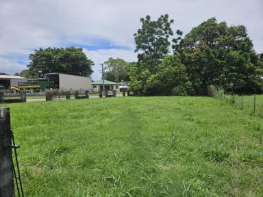 Residential Block For Sale - QLD - Ingham - 4850 - 909 SQ.M. BLOCK - 2 STREET ACCESS - CLOSE TO TOWN CENTRE!  (Image 2)