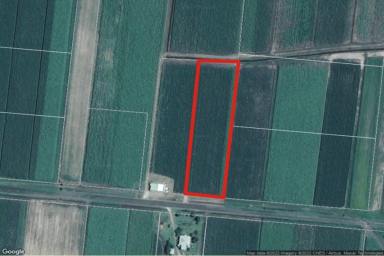 Other (Rural) For Sale - QLD - Halifax - 4850 - 1.12 HECTARE (OVER 2.75 ACRE) BLOCK OF LAND BETWEEN HALIFAX & TAYLORS BEACH!  (Image 2)