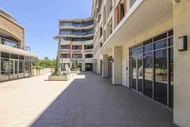Apartment Sold - WA - East Fremantle - 6158 - High Ceilings, Huge Balcony, High End Apartment +  Car Bay for 2 Cars!!!  (Image 2)