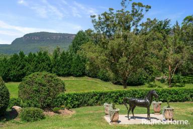 House For Sale - NSW - Kangaroo Valley - 2577 - Stunning Pavillion Home on 4.6 acres with Exceptional Views  (Image 2)