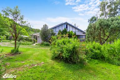 Farmlet Sold - VIC - Devon North - 3971 - PEACEFUL TRANQUILITY  (Image 2)