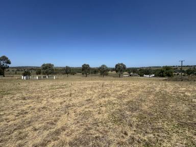 Residential Block For Sale - nsw - Merriwa - 2329 - Fantastic Small Acerage  (Image 2)