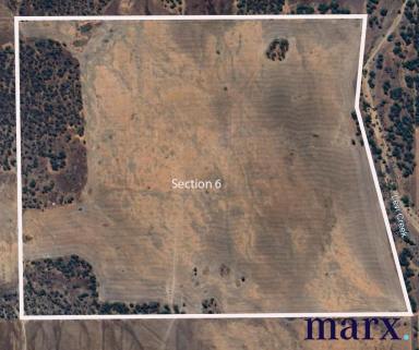 Residential Block For Sale - SA - Steinfeld - 5356 - FARMING PROPERTY IN TWO LOTS  (Image 2)