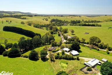 Other (Rural) For Sale - VIC - Welshpool - 3966 - WELSHPOOL GRAZING PROPERTY  (Image 2)