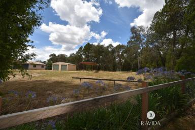 Residential Block For Sale - VIC - Beechworth - 3747 - TRANQUILITY  (Image 2)