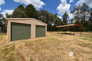 Residential Block For Sale - VIC - Beechworth - 3747 - TRANQUILITY  (Image 2)