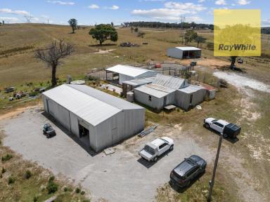 Mixed Farming Sold - NSW - Goulburn - 2580 - Discover Rural Bliss at 692 Woodhouselee Road  (Image 2)