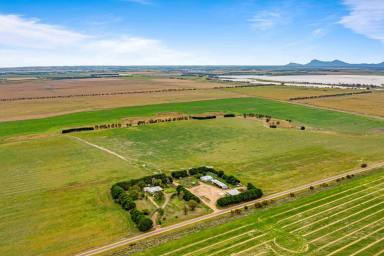 Mixed Farming For Sale - VIC - Willaura - 3379 - Mixed Farming Opportunity  (Image 2)