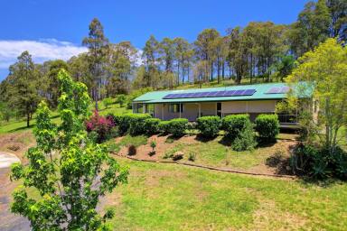 Acreage/Semi-rural For Sale - NSW - Krambach - 2429 - Life's Complete At Cocumbark!  (Image 2)