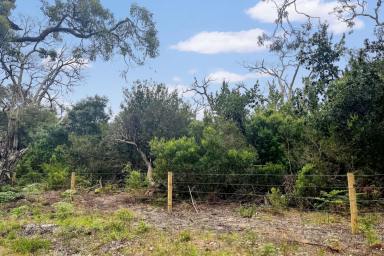 Residential Block For Sale - VIC - Langsborough - 3971 - COASTAL LIVING  (Image 2)