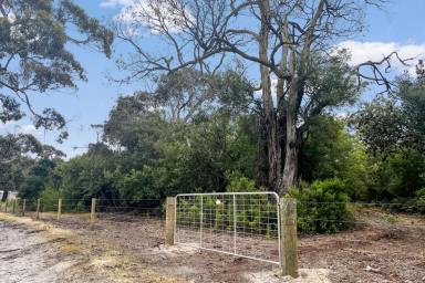 Residential Block For Sale - VIC - Langsborough - 3971 - COASTAL LIVING (Image 2)