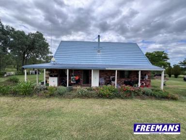 House For Sale - QLD - Ellesmere - 4610 - 6.69 acres set high out of the frost.  (Image 2)