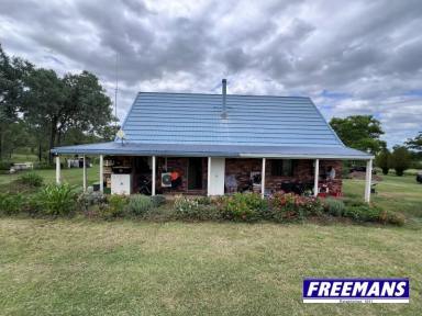 House Sold - QLD - Ellesmere - 4610 - 6.69 acres set high with fully equipped well  (Image 2)