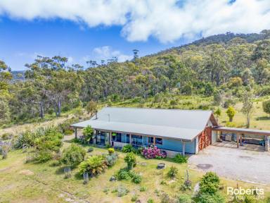 Residential Block Sold - TAS - Chain Of Lagoons - 7215 - A Great Aussie Escape  (Image 2)