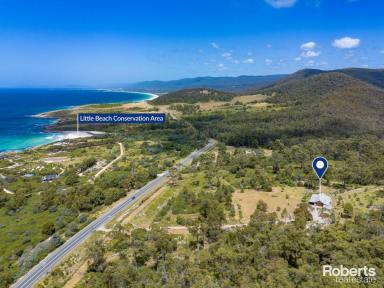 Residential Block Sold - TAS - Chain Of Lagoons - 7215 - A Great Aussie Escape  (Image 2)