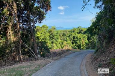 Residential Block For Sale - QLD - Wongaling Beach - 4852 - 2 Acres, Ocean Views  (Image 2)