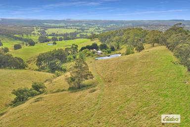 Other (Rural) For Sale - VIC - Willung South - 3847 - AFFORDABLE GRAZING COUNTRY  (Image 2)