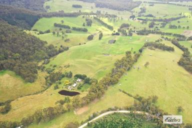 Other (Rural) For Sale - VIC - Willung South - 3847 - AFFORDABLE GRAZING COUNTRY  (Image 2)