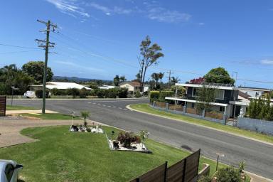 House For Lease - NSW - Catalina - 2536 - Top of the hill Catalina  (Image 2)