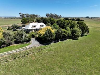 Mixed Farming Sold - TAS - Thirlstane - 7307 - UNDER CONTRACT - Tower Hill  (Image 2)