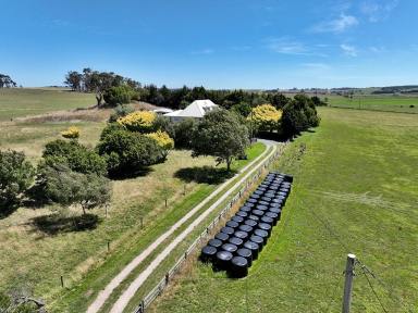 Mixed Farming Sold - TAS - Thirlstane - 7307 - UNDER CONTRACT - Tower Hill  (Image 2)