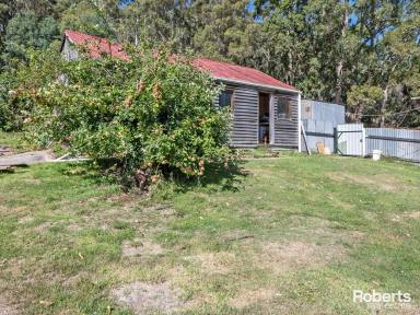 Acreage/Semi-rural For Sale - TAS - Liffey - 7301 - Welcome to self-sustainable Living!  (Image 2)
