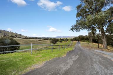 House For Sale - NSW - Tumut - 2720 - Piece of Paradise!  (Image 2)