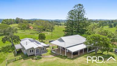 House For Sale - NSW - Kyogle - 2474 - House + Studio on 6 Acres  (Image 2)