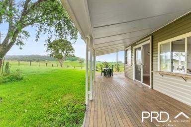 House For Sale - NSW - Kyogle - 2474 - House + Granny Flat on 6 Acres  (Image 2)