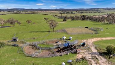 Mixed Farming For Sale - NSW - Castle Doyle - 2350 - FOR SALE AS A WHOLE OR SEPARATE ASSETS BY PRIVATE TREATY TO SUIT EVERY BUDGET  (Image 2)