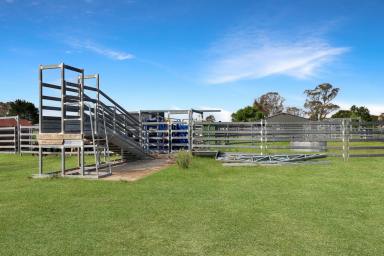 Mixed Farming For Sale - NSW - Castle Doyle - 2350 - Equine lifestyle and cattle production within close proximity to Armidale  (Image 2)