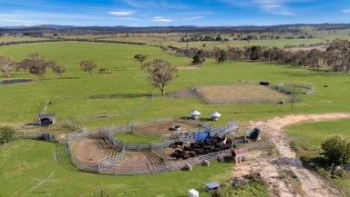 Mixed Farming For Sale - NSW - Castle Doyle - 2350 - Equine lifestyle and cattle production within close proximity to Armidale  (Image 2)