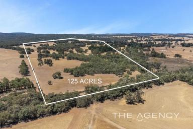House For Sale - WA - Gidgegannup - 6083 - "JINJARRA" - 125 Acre Rural & Farming Lifestyle 30 Minutes From Midland  (Image 2)