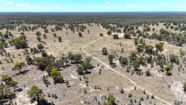 Other (Rural) For Sale - NSW - Cuttabri - 2388 - LAND OPPORTUNITY IN QUIET LOCATION SPANNING 1,037 ACRES  (Image 2)
