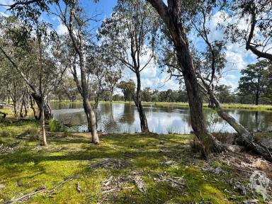 Other (Rural) Sold - NSW - Cuttabri - 2388 - LAND OPPORTUNITY IN QUIET LOCATION SPANNING 1,037 ACRES  (Image 2)