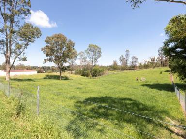 Residential Block For Sale - NSW - Quaama - 2550 - GREAT VALUE!  (Image 2)