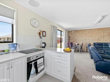 Unit For Sale - TAS - Prospect Vale - 7250 - Buy one, or buy all three!!  (Image 2)