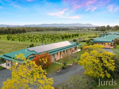 Lifestyle For Sale - NSW - Lovedale - 2325 - TALGA ESTATE – HUNTER VALLEY ACCOMMODATION BUSINESS  (Image 2)