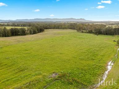 Lifestyle For Sale - NSW - Lovedale - 2325 - TALGA ESTATE – HUNTER VALLEY ACCOMMODATION BUSINESS  (Image 2)