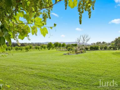 Lifestyle For Sale - NSW - Lovedale - 2325 - Talga Estate – A Hunter Valley Retreat with Income & Lifestyle in Harmony  (Image 2)
