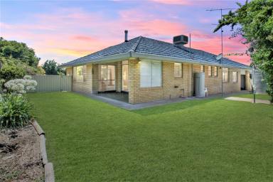 House Sold - NSW - Quirindi - 2343 - SPACIOUS BRICK & TILE  (Image 2)