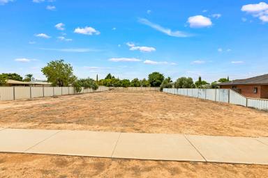Residential Block For Sale - VIC - Mildura - 3500 - Titled and ready to build!  (Image 2)
