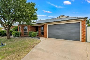 House For Sale - VIC - Mildura - 3500 - Comfortable living to suit every buyer  (Image 2)