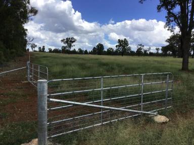 Lifestyle For Sale - NSW - Inverell - 2360 - MOROCCO, 165 Acres Lifestyle Property with 5-Bedroom12km from Growing Town of Inverell - Perfect for Livestock or Family Retreat!  (Image 2)