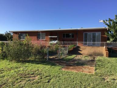 Lifestyle For Sale - NSW - Inverell - 2360 - MOROCCO, 165 Acres Lifestyle from Growing Town of Inverell - Perfect for Livestock or Family Retreat!  (Image 2)