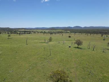 Residential Block For Sale - QLD - Kilkivan - 4600 - Prime Grazing Country Only Minutes From Kilkivan  (Image 2)