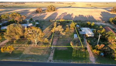 Residential Block For Sale - VIC - Lake Boga - 3584 - Holliday block or Lifestyle Location?  (Image 2)