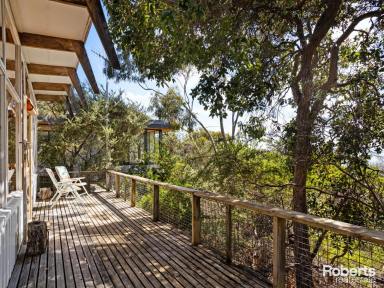 House Sold - TAS - Coles Bay - 7215 - Retro Retreat - The Fisheries, Coles Bay  (Image 2)